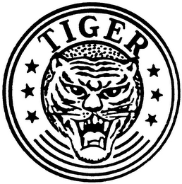 TIGER logo