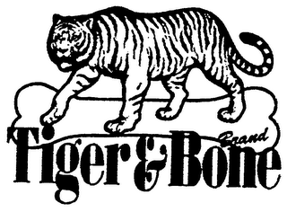 TIGER & BONE BRAND logo