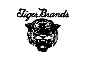 TIGER BRANDS logo
