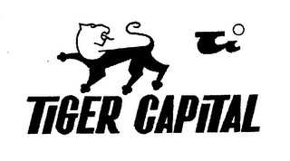 TIGER CAPITAL logo