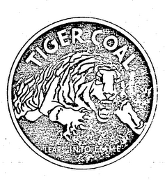 TIGER COAL LEAPS INTO FLAME logo