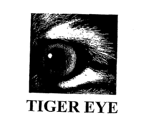 TIGER EYE logo