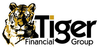 TIGER FINANCIAL GROUP logo