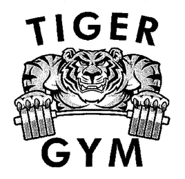 TIGER GYM logo