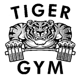 TIGER GYM logo