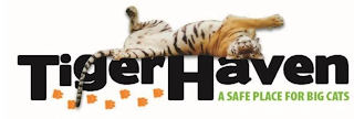 TIGER HAVEN A SAFE PLACE FOR BIG CATS logo