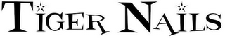 TIGER NAILS logo
