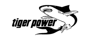 TIGER POWER logo