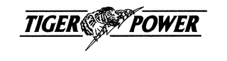 TIGER POWER logo