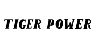 TIGER POWER logo