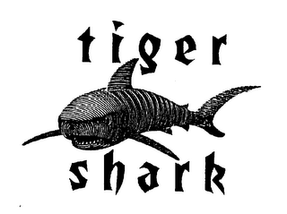 TIGER SHARK