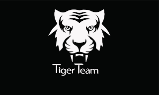 TIGER TEAM logo