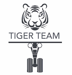 TIGER TEAM
