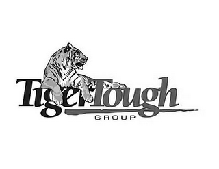 TIGER TOUGH GROUP logo