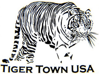 TIGER TOWN USA logo