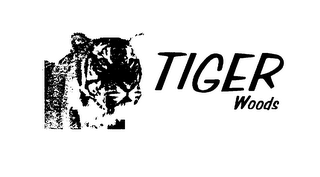 TIGER WOODS logo
