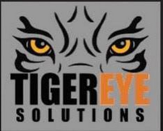 TIGEREYE SOLUTIONS logo
