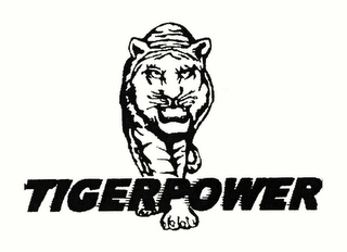 TIGERPOWER logo