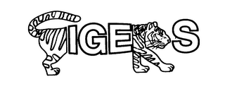 TIGERS logo