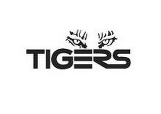 TIGERS logo