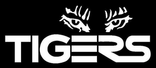 TIGERS logo