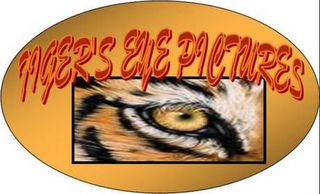 TIGER'S EYE PICTURES logo