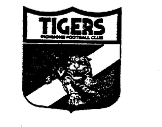 TIGERS RICHMOND FOOTBALL CLUB V logo