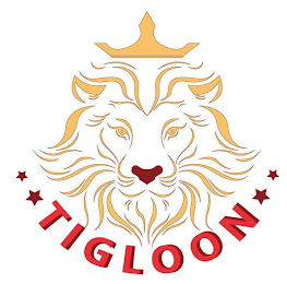 TIGLOON logo
