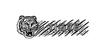 TIGRE logo