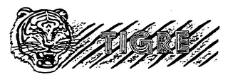 TIGRE logo