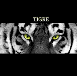TIGRE logo