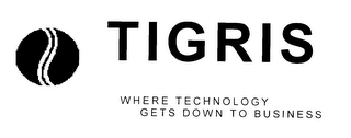 TIGRIS WHERE TECHNOLOGY GETS DOWN TO BUSINESS logo