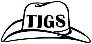 TIGS logo