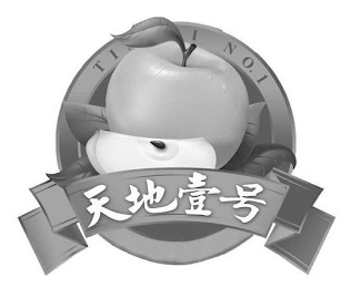 TII NO. 1 logo