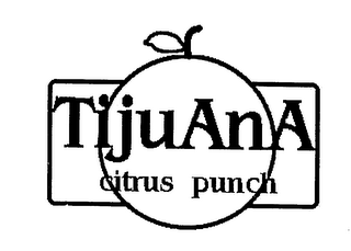 TIJUANA CITRUS PUNCH logo