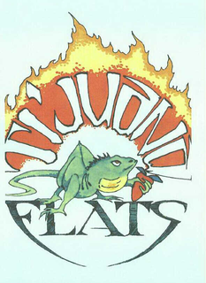 TI'JUANA FLATS logo