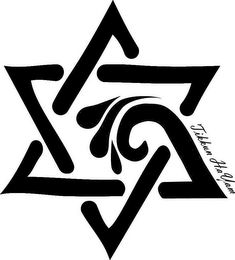 TIKKUN HAYAM logo