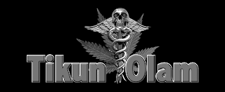 TIKUN OLAM logo