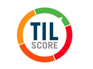 TIL SCORE logo