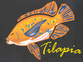 TILAPIA logo