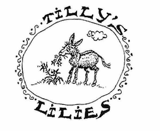 TILLY'S LILIES logo