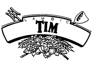 TIM logo