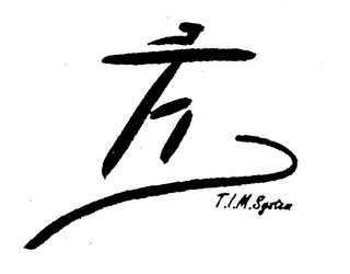 T.I.M. SYSTEM logo