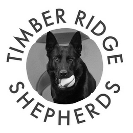 TIMBER RIDGE SHEPHERDS logo
