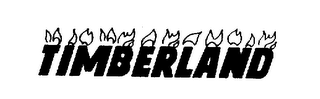 TIMBERLAND logo