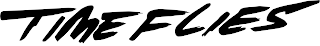 TIME FLIES logo