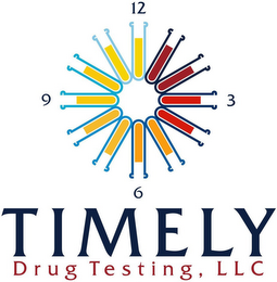 TIMELY DRUG TESTING, LLC 12 3 6 9 logo