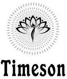TIMESON logo