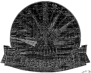 TIMESPELL logo