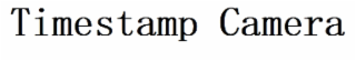 TIMESTAMP CAMERA logo